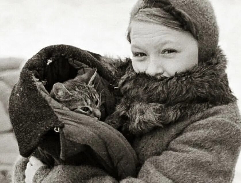 Кошки в блокаду. Кот максим в блокадном ленинграде. Кот василий блокада ленинграда. Коты блокадного ленинграда. Блокадный кот васька.