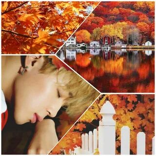 Jimin Autumn Aesthetic Bts, Эстетика, Фэндомы, In This Moment Группа.