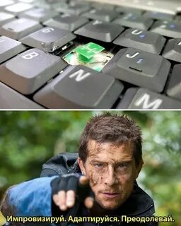 Изменяйся адаптируйся