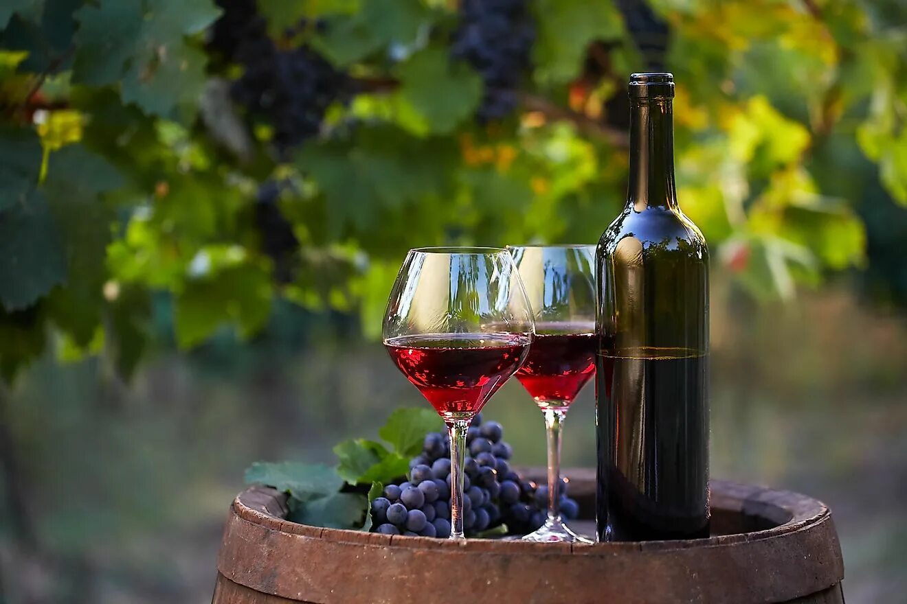 Ich finde wein lecker