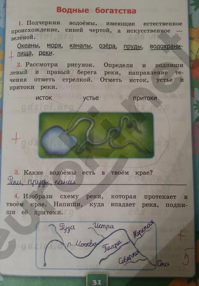 Гдз а а Плешаков окружающий мир рабочая тетрадь 2 2 класс. Окружающий мир 2 класс рабочая тетрадь страница 31 упражнение 1. Окружающий мир рабочая тетрадь 2 часть Плешаков ответы. Окружающий мир 2 класс рабочая тетрадь Плешаков стр 31.