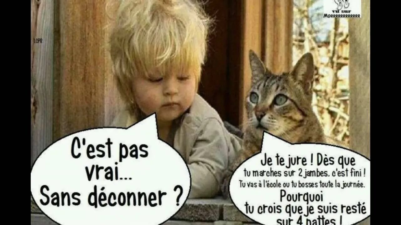 Alan c est vrai ou pas. Alan c est vrai ou pas
