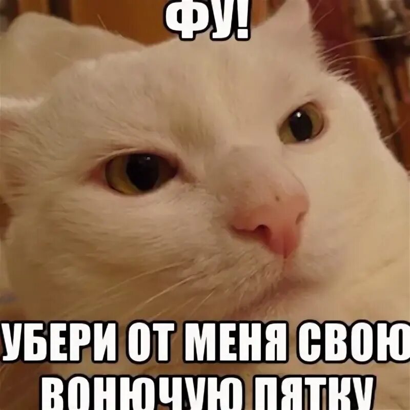 Та что через е