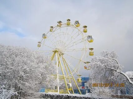 Фани парк каток