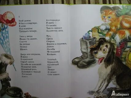 Текст песни котенок