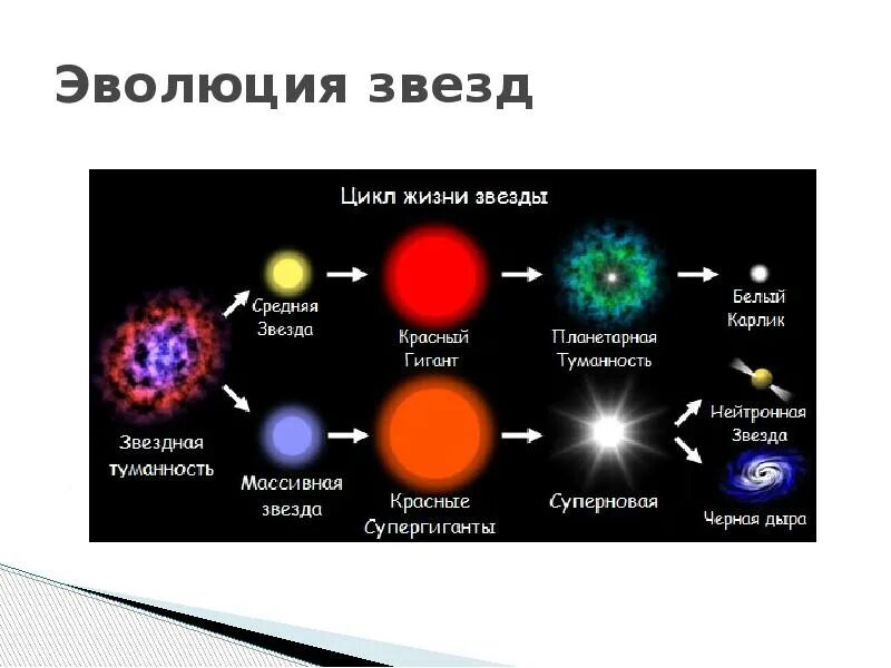 Стадии жизненного цикла звезды. Цикл жизни звезды схема. Эволюция звезд. Эволюция звёзд в зависимости от массы.