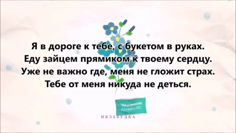 Незабудка Тима белорусских текст. Текст песни Незабудка. Незабудка белорусских текст. Тим белорусских Незабудка текст.