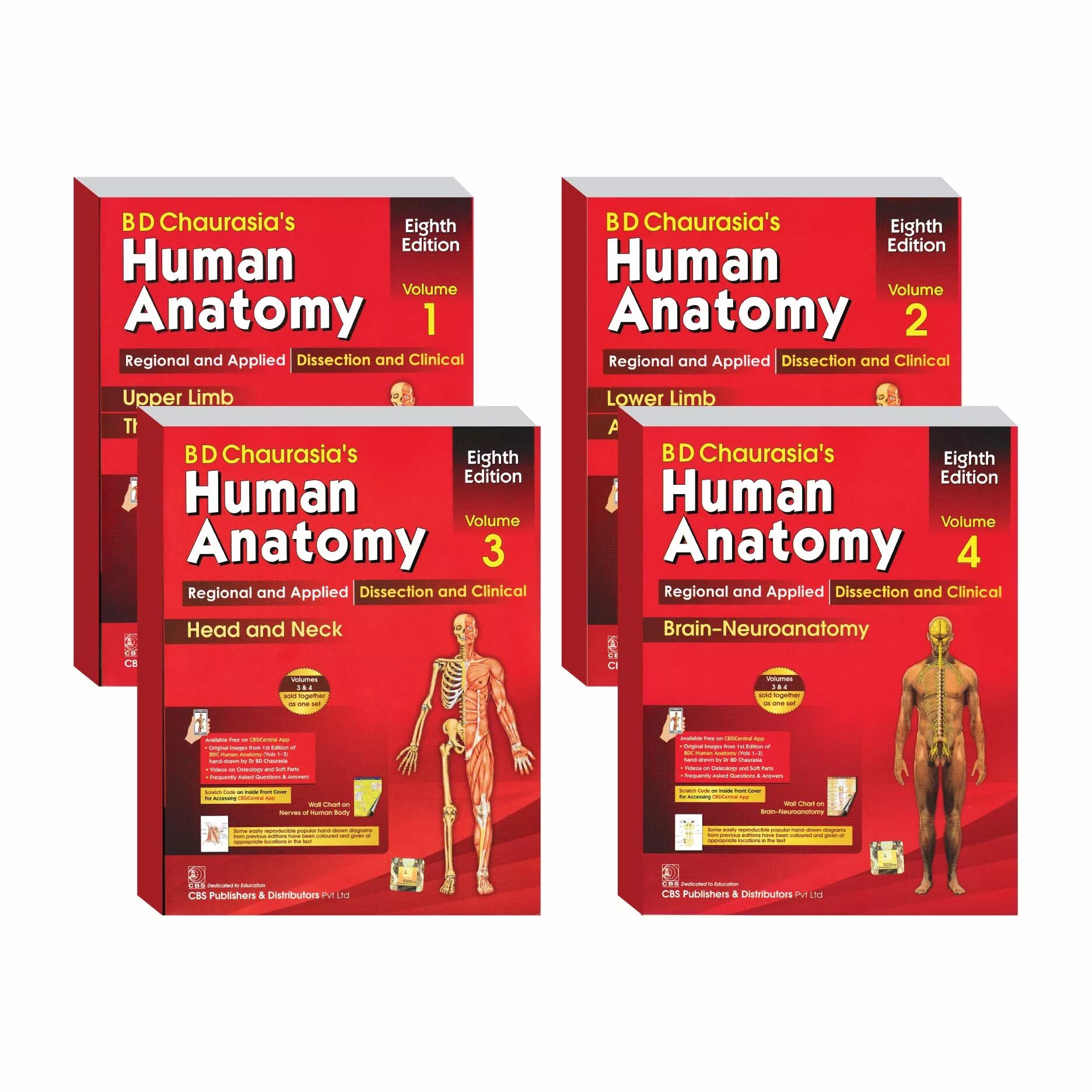 Anatomy 4pda. Anatomy 4pda