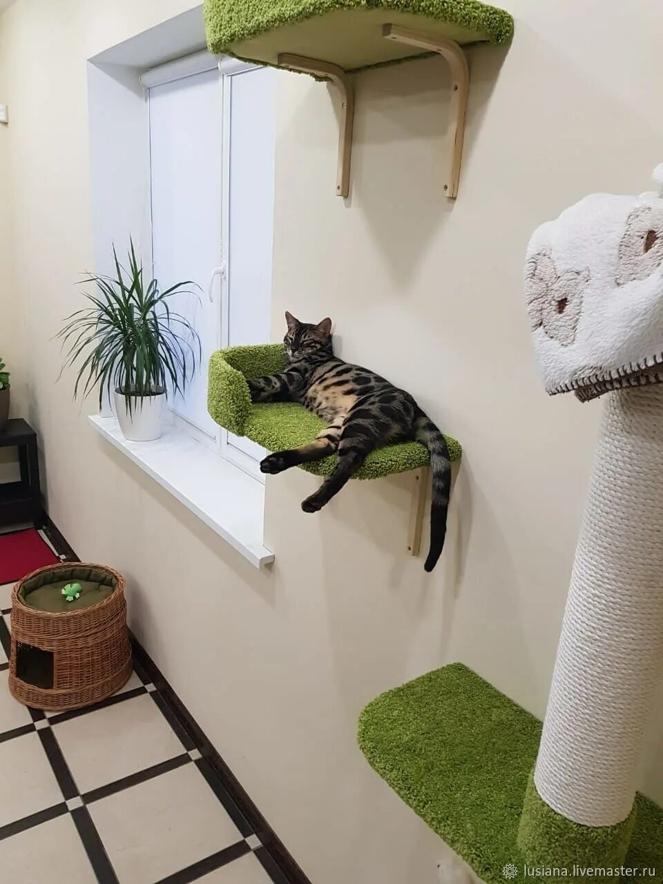Купить кошку на стене. Домик для кошек. Настенный дом для кошки. Полки для кошек. Кошачий домик настенный.