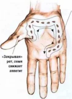 Проекция на ладонь