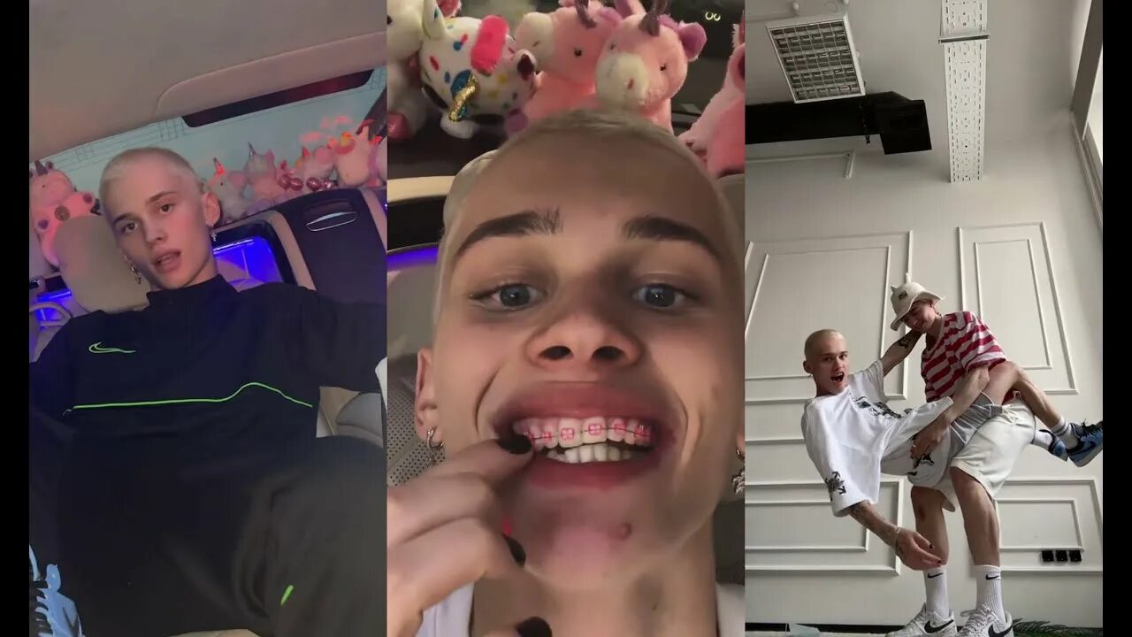 Дани милохин лапки. Дани милохин лапки