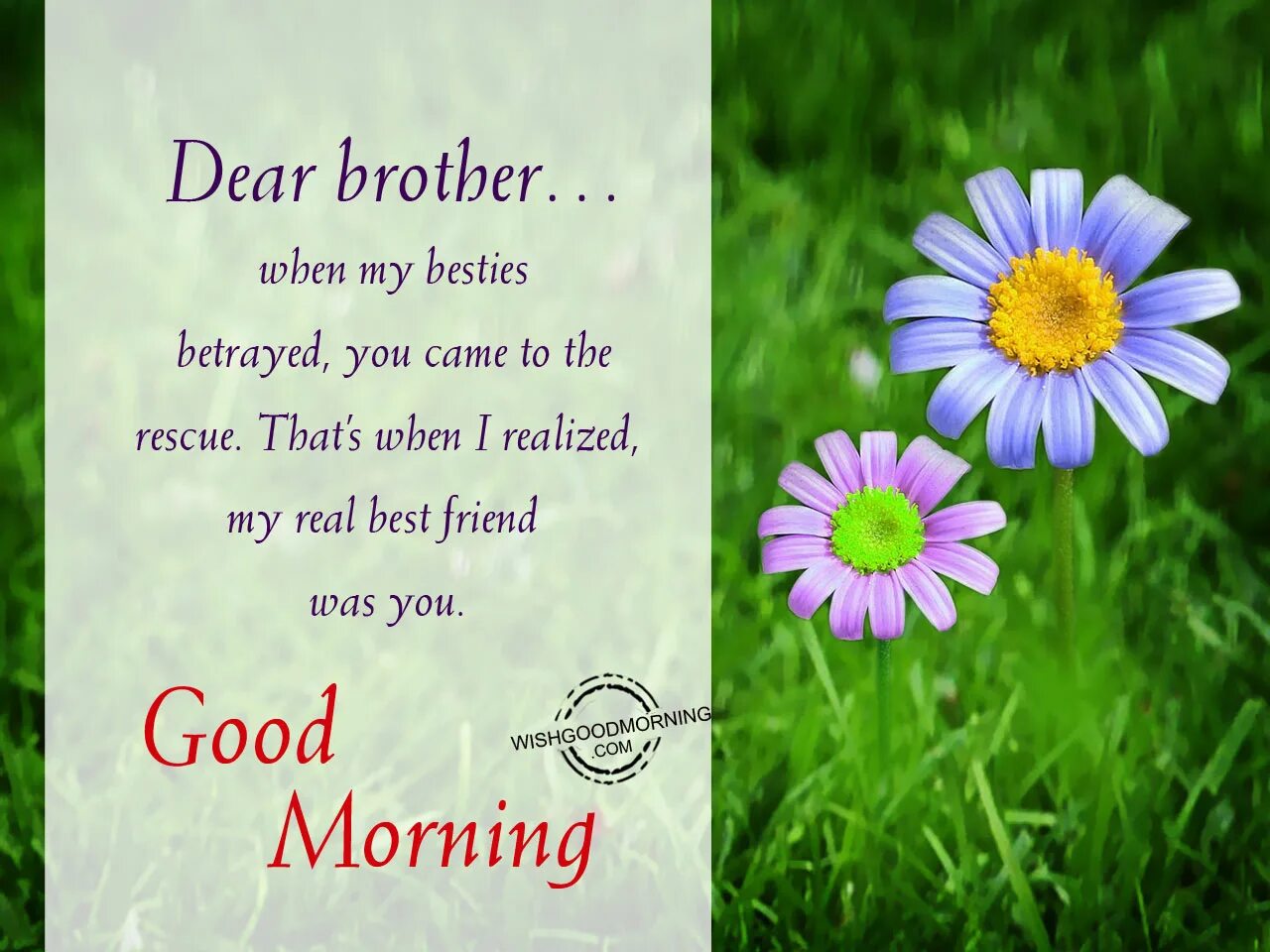 Dear come with me. Монинг brother. Good morning Dear. Good morning Dear картинки. Good morning my Dear картинки мужчине.