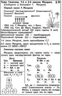 Законы менделя генетика 9 класс