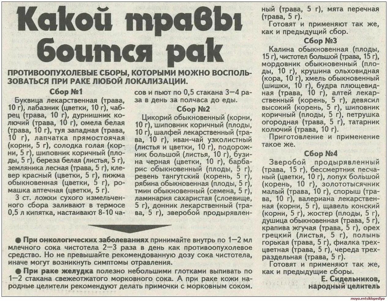 Как принимать чистотел внутрь. Чистотел настойка онкология. Как пить чистотел при онкологии. Как принимать чистотел при онкологии. Как пить чистотел.