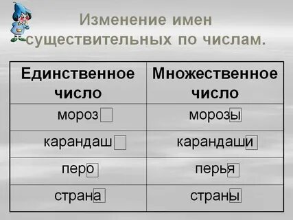 Какое имя существительное изменяется по числам