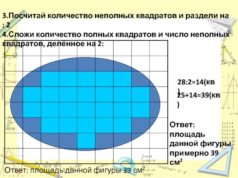 Сколько клеток в 1 7