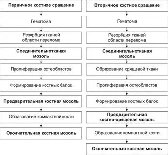 Первичное и вторичное образование