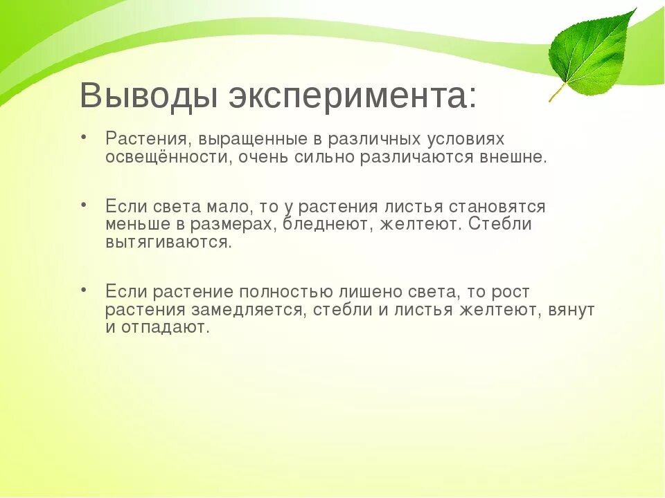 Влияние света на растения проект. Роль света в жизни растений. Выращивание цветов вывод. Роль света в жизни растений вывод.