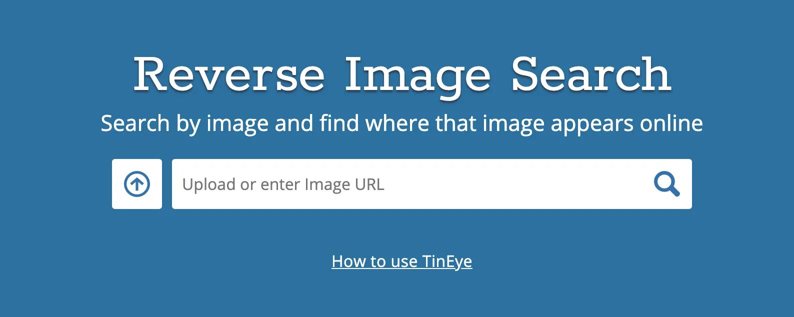 Reverse image search. Reverse image search engine. Google Reverse image search.