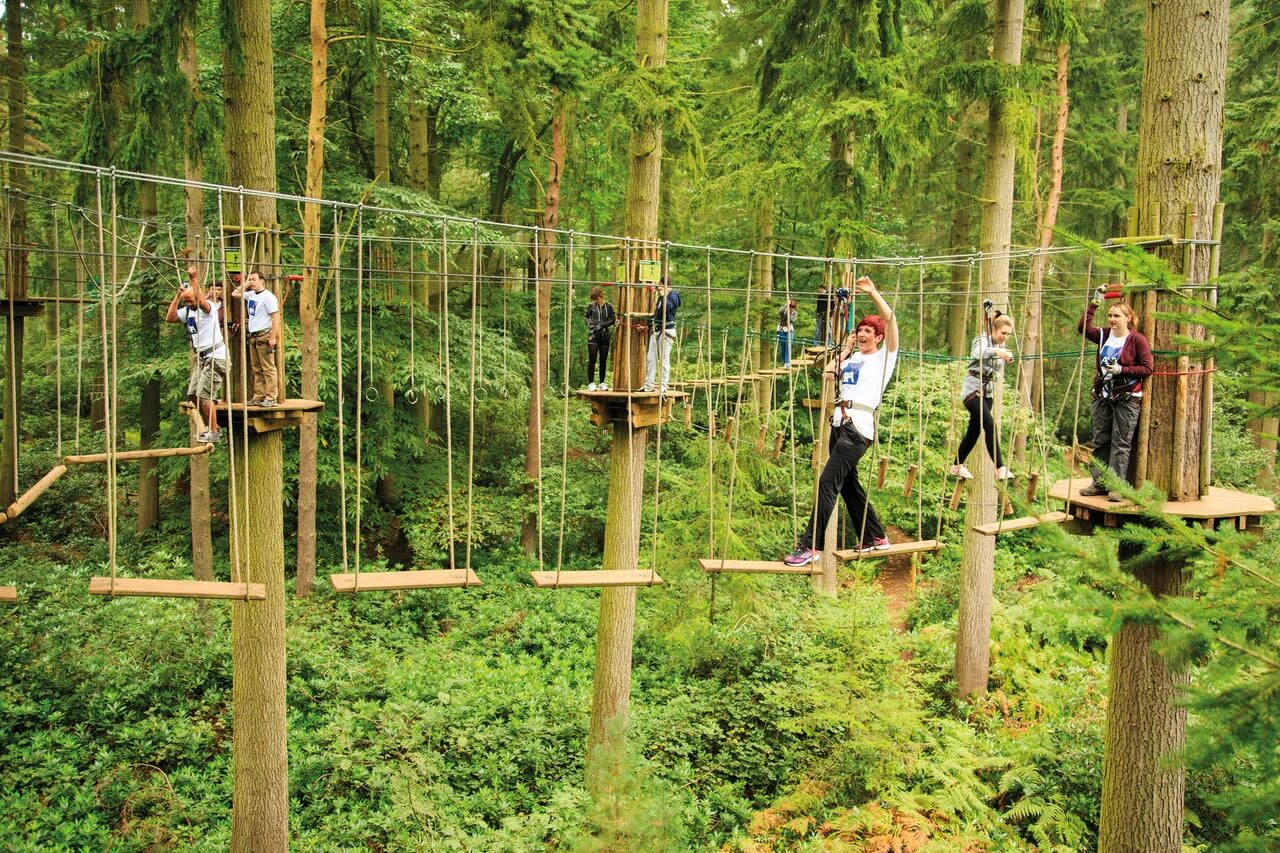 Go tree. • парк активного отдыха go ape.. ponderosa adventure park. forest treetop. фаст роуп на лес.