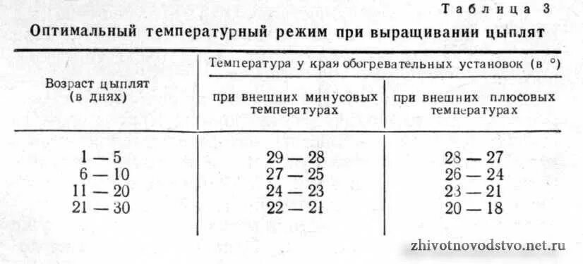 Время считать цыплят. Температурный график выращивания бройлеров. температурный режим содержания цыплят бройлеров таблица. тепловой режим для цыплят бройлеров. температурная таблица для цыплят бройлеров.