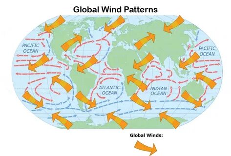 Wind did the
