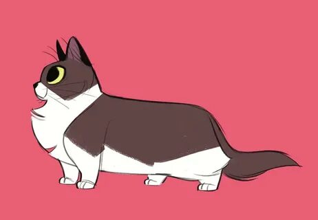 Рисовка котиков
