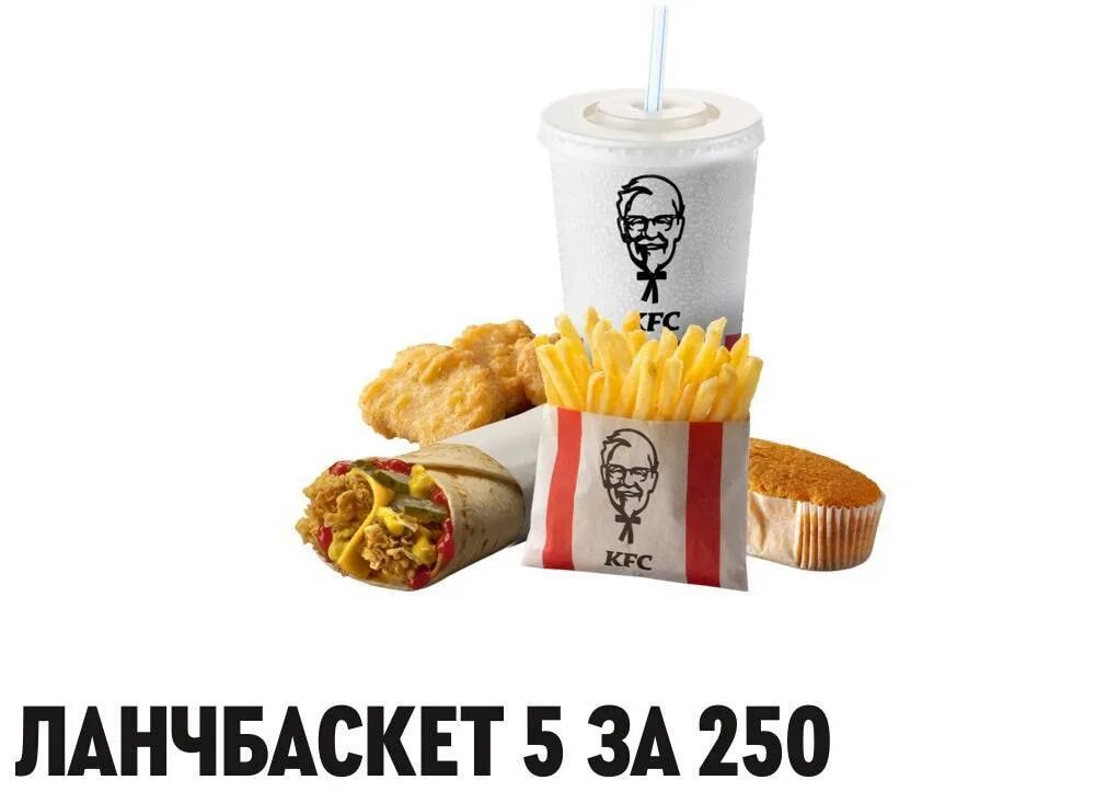 Gibson les paul junior. Джуниор спешл. Твистер юниор кфс. Fender electro acoustic. Тим армстронг fender acoustic.