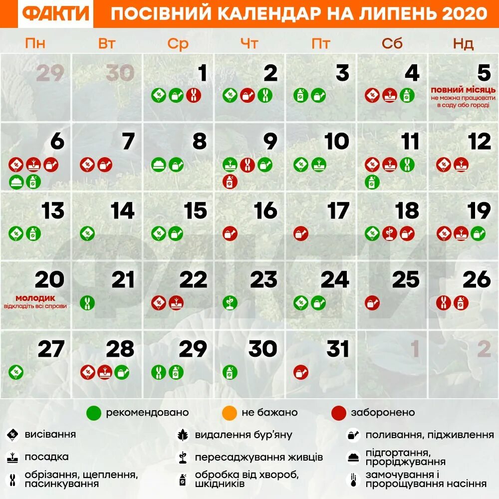 Даты июль 2025