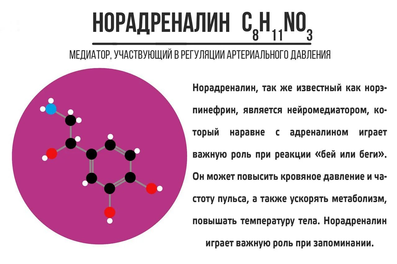 Давление при выбросе адреналина. Адреналин нейромедиатор. Вещества нейромедиаторы. Норадреналин нейромедиатор функции. Нейромедиаторы стресса гормоны.