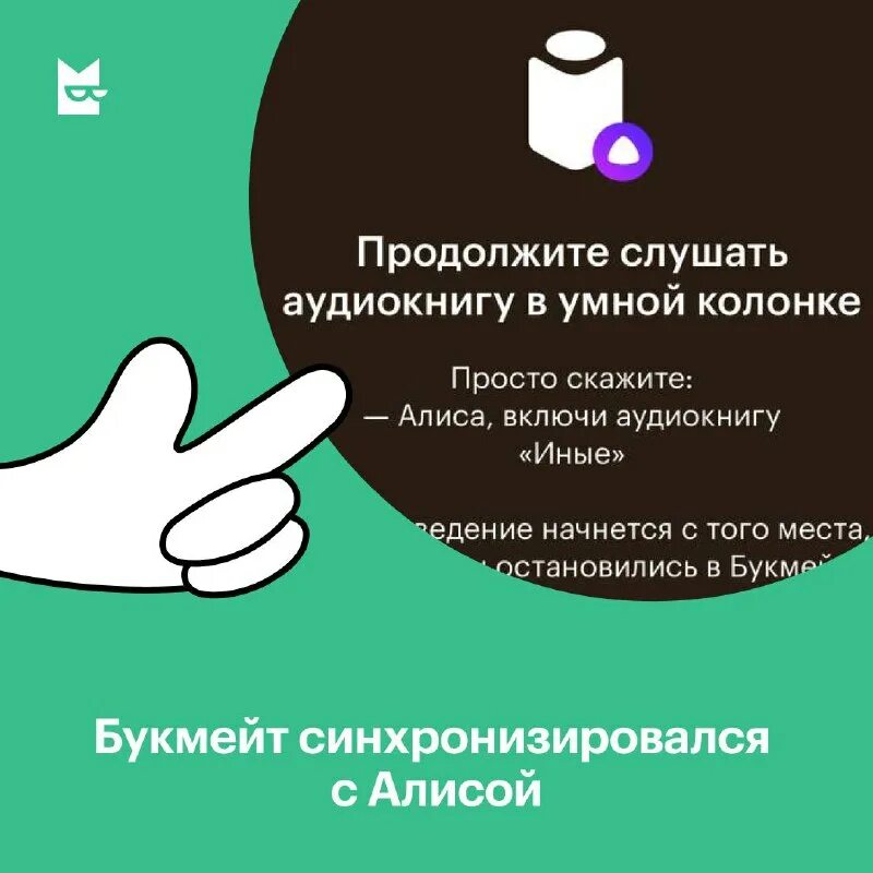 Яндекс антиспам звонков. Алиса включи антиспам. Алиса включи антиспам. Алиса включи антиспам. Включить алису.