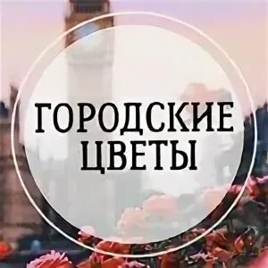Городские цветы смоленск. Воробьева, д. Цветы смоленск. Смоленск опаленный цветок фото. Городские цветы смоленск черняховского.
