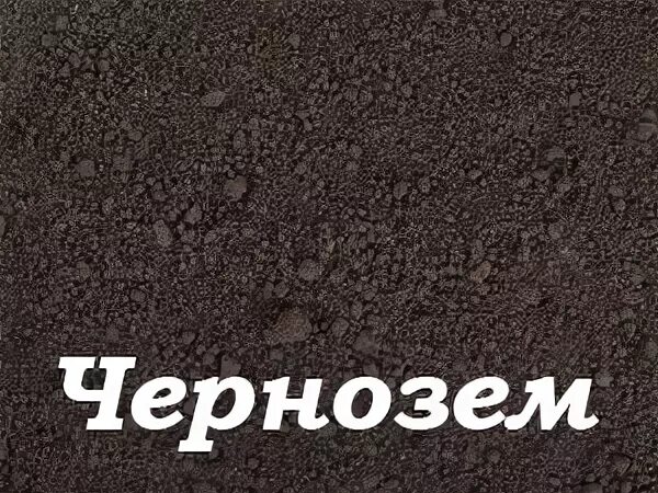 Чернозем краснодар. Чернозем краснодар. Чернозем перегной. Перегной грунт чернозем. 2 тонны чернозема фото.