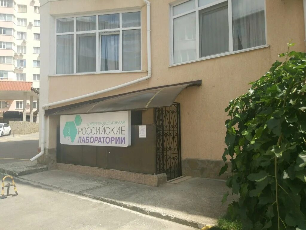 Праймер симферополь улица 51-й армии. Синэкс симферополь проспект кирова. Проспект кирова 37 симферополь. Проспект победы 37 симферополь. Лаборатория симферополь.