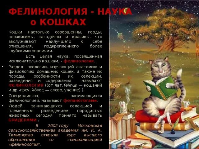 Наука о котах. Выставка кошек. Фелинология это наука. Фелинология и фелинотерапия. Фелинология наука о кошках.
