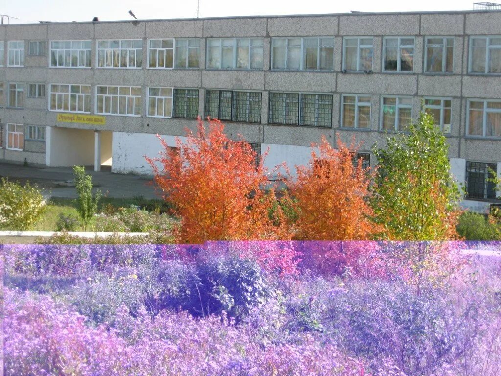 Директор школы 19 верхняя тура. Город верхняя тура свердловской области. Школа 19 город верхняя тура. Школы верхней туры. Верхнетуринск свердловской области.