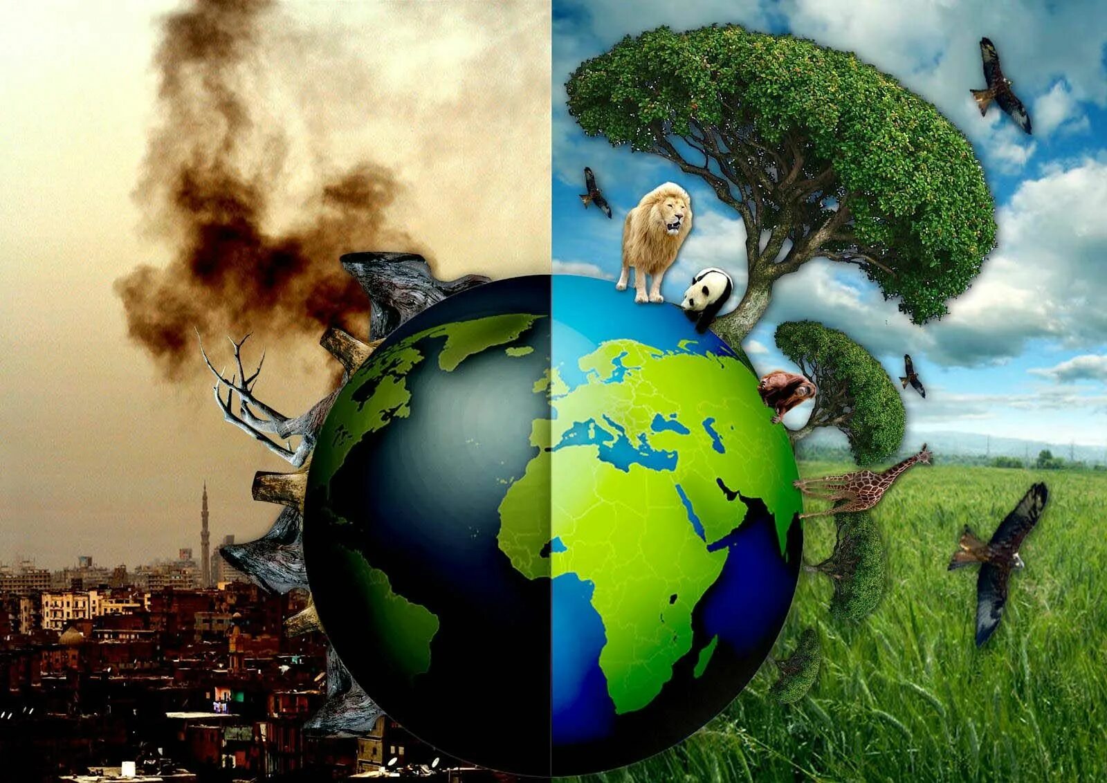 A lot of pollution. Экология. Экология земли. Природа в опасности. Планета земля экология.