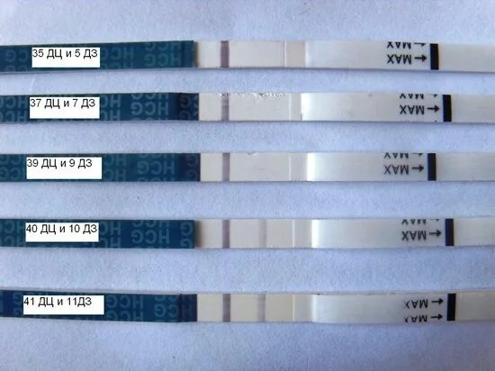 тест на беременность дпо. тест на беременность упаковка. тест на беременность nefella положительный. болит грудь после овуляции. тест на беременность вечером.