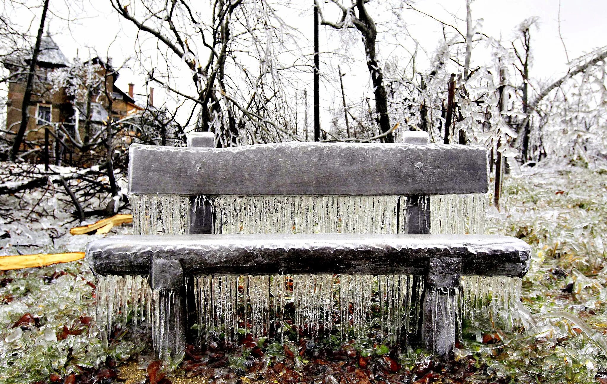 ледяные скамейки на море. ледяные скамейки. ледяные скамейки. ферн снег. скамейка зимой.