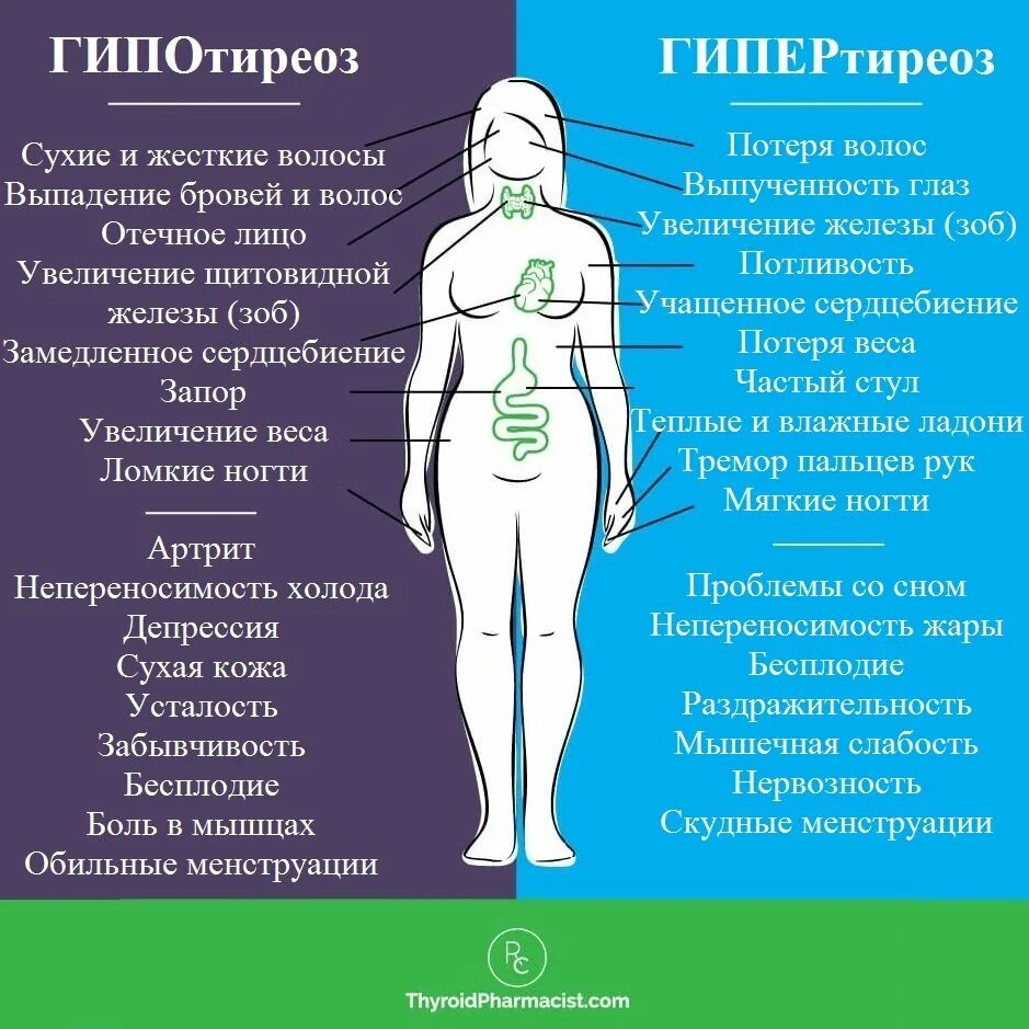Гипотиреоз б. Гипотиреоз и гипертиреоз. Гипотериоз щитовидки у женщин.