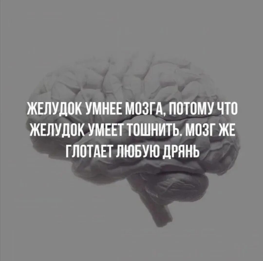 Что такое у тебя есть мозги. Цитаты про мозг. фразы про мозги. высказывания про мозги. цитаты про мозги.