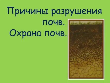 Для защиты почвы от разрушения человек