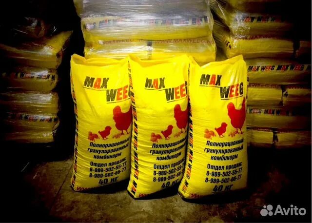 Комбикорм куриный для несушек. Рыбный комбикорм. Тосненский комбикорм. Комбикорм богданович пк 6. Комбикорм для коз.