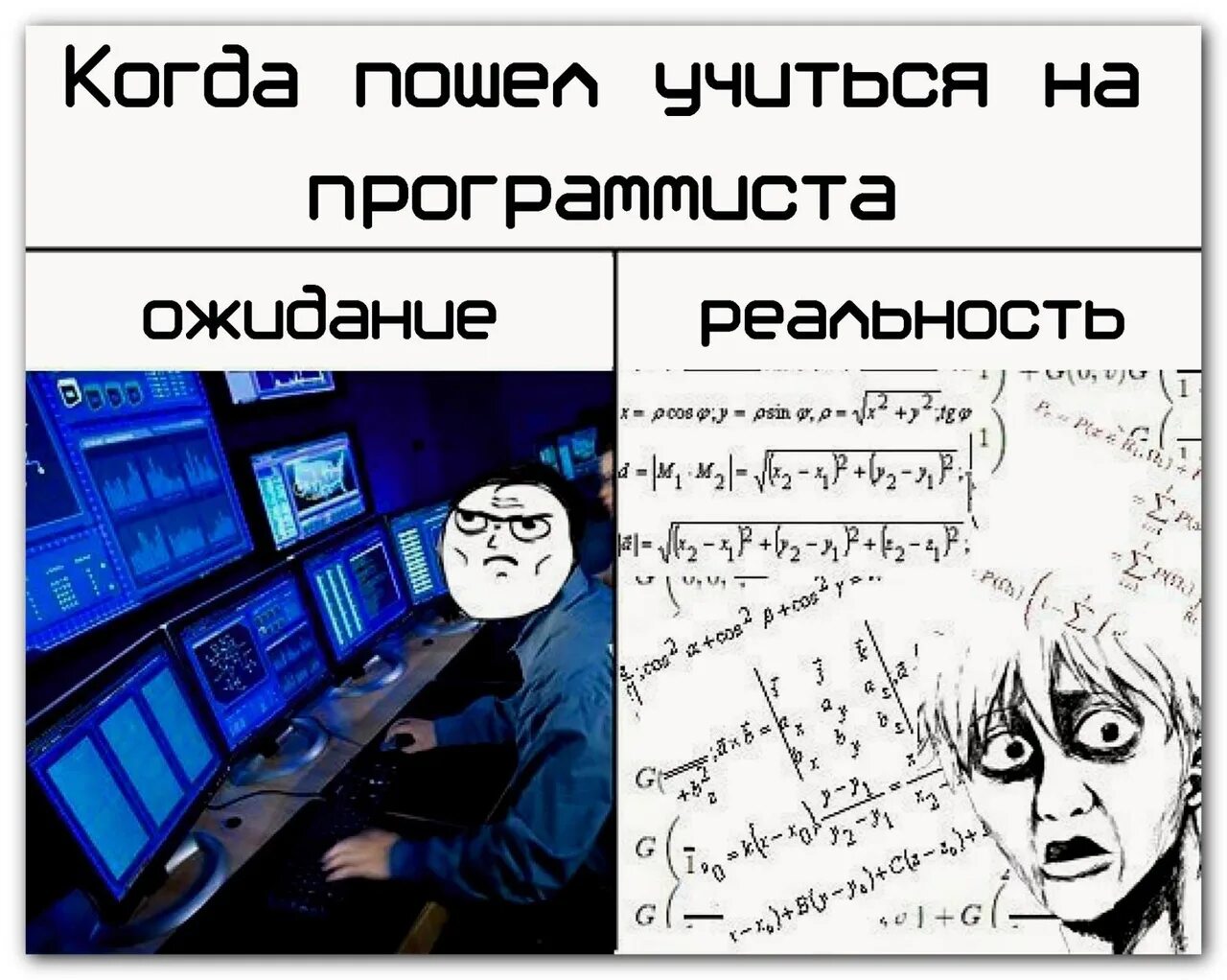 Программист реальность. Программист ожидание. Программирование ожидание реальность. Программист ожидание реальность. Куда можно поступить с информатикой и математикой