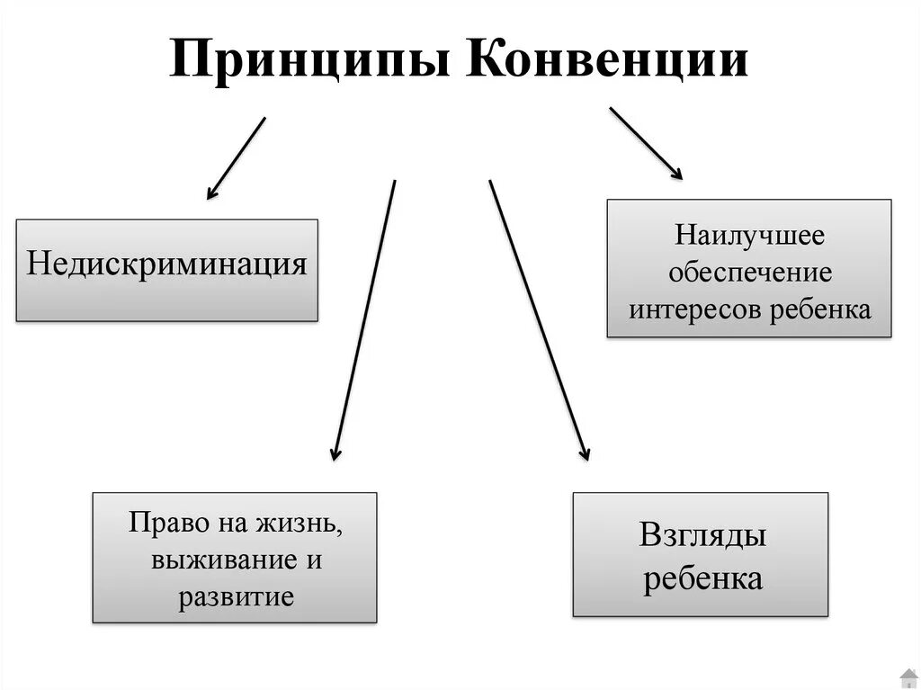 Принципы конвенции. Основные принципы конвенции о правах ребенка. Принцыпы "конвенции о правах ребенка ". Основные принципы конвенции ООН О правах ребенка.