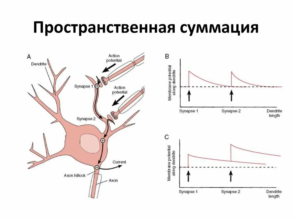 Суммация загрязняющих веществ. Суммация загрязняющих веществ