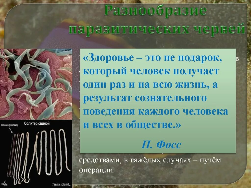 Заболевания вызываемые ленточными червями. Многообразие паразитических червей. Плоские черви паразиты человека. Паразитические черви презентация. Сообщение на тему паразитические черви.