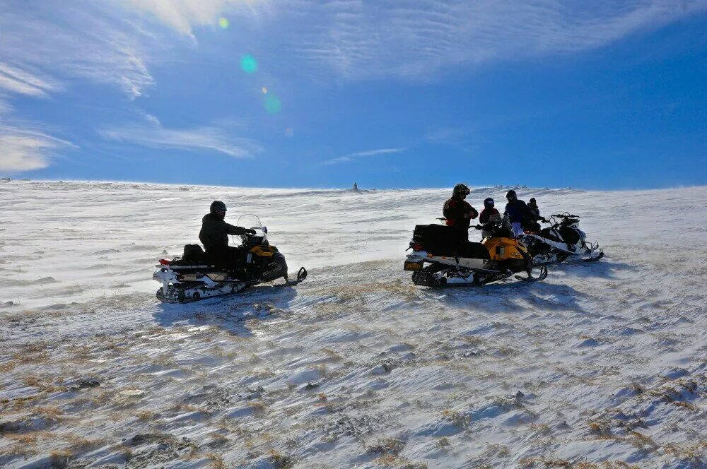 снегоход алтай. снегоход алтай. мотосани деда мороза. перевал караташ алтай. снегоходное сафари алтай.