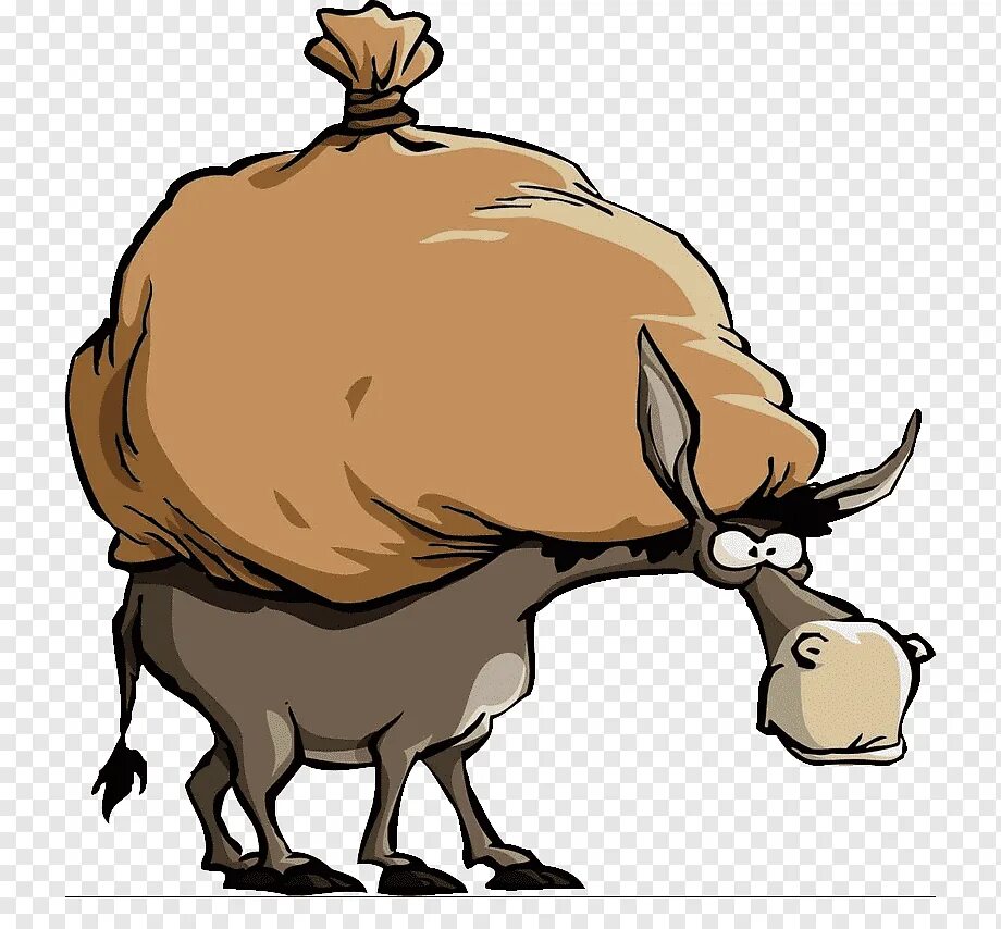 Поклажа на спине животного 4 буквы. Осел трава. Мул и ишак. Конский вьюк для транспортировки. Вьючные мешки.