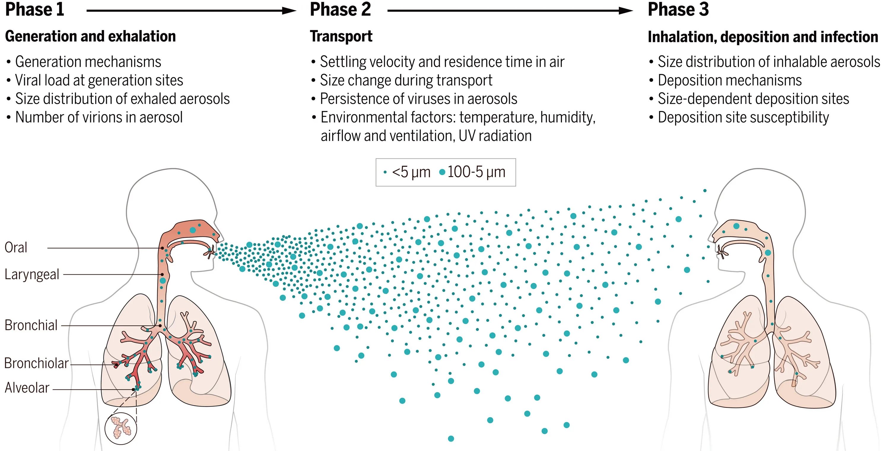 Aerosol science. Aerosol science. Microbiological air impinger. Laboratory studies of atmospheric physics. Биомедицина.